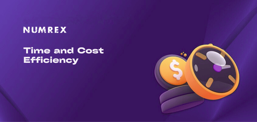 Time and Cost Efficiency