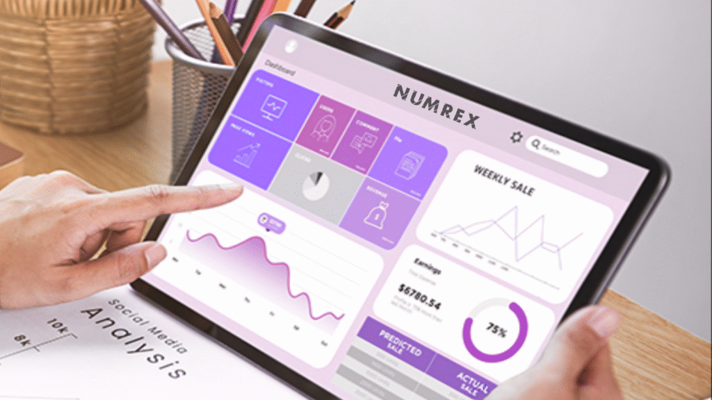 On-Page Optimization and Technical SEO